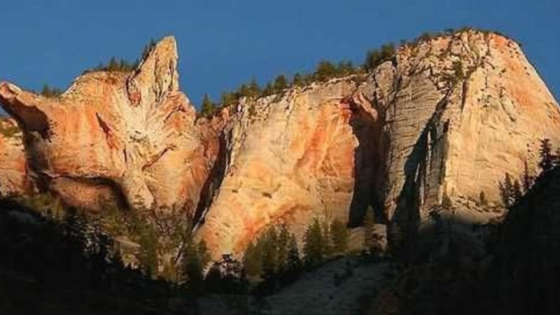 Sosyal medya bu fotoğrafı tartışıyor! İşte herkesin farklı bir şey gördüğü gizemli kare
