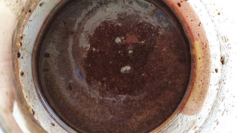 İbn-i Sina önerdi: Baştan aşağı sürün, vücutta bit bırakmıyor