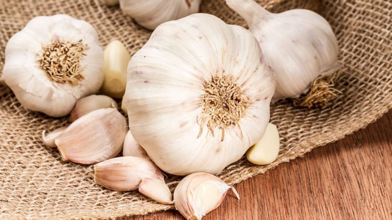 Uyurken yastığınızın altına sarımsak koyun, o hastalıktan eser kalmasın!