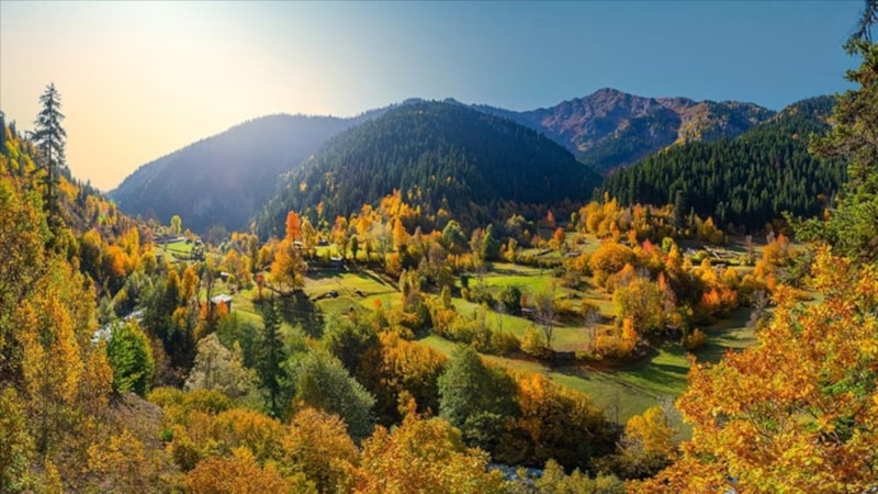 Orman ve köyler ekonomiye katkı yapacak! 26 ekoturizm alanı daha hayata geçiriliyor