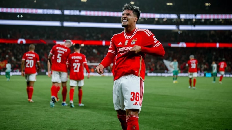 Benfica'nın galibiyet serisi devam etti