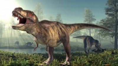 T.Rex'in en yakın akrabasıyla tanışın: 71 milyon yıl önce yaşayan vahşi bir dinozorun kalıntıları keşfedildi