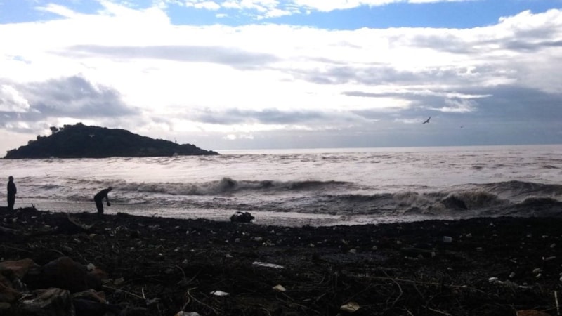 Mersin'de deniz suyu kahverengine döndü