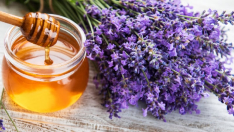 Damarları porçöz gibi açıyor! Sabahları 1 parmak yiyin, tıkanıklığı giderin...