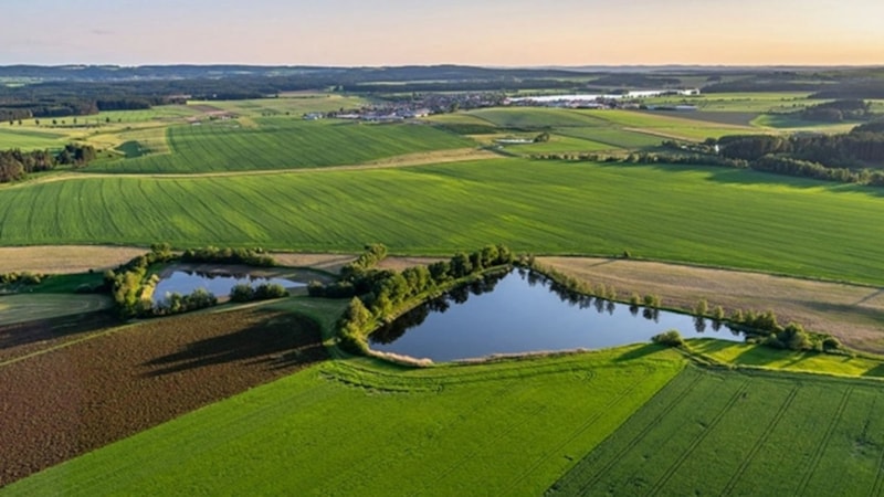 Kelepir fiyata büyükşehirden arsa! Elini çabuk tutan kazanır