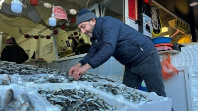 Rize'de hamsi tezgahtaki krallığını istavrite kaptırdı