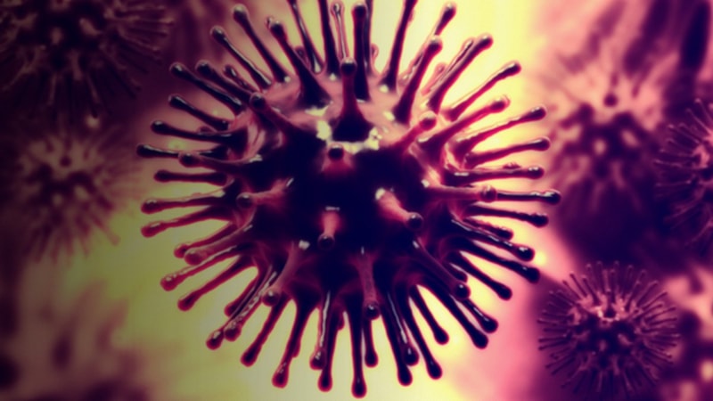 Davos zirvesinden X hastalığı mesajı: DSÖ başkanı uyardı! X hastalığına hazırlıklı olun...