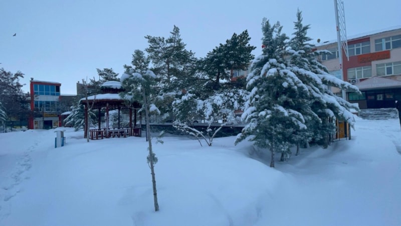 Van'da kar yağışı! Muradiye beyaza büründü...