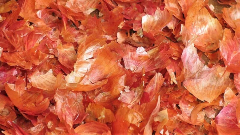 Sakın kabuklarını atmayın! 