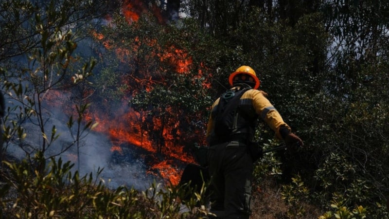 Kolombiya'da orman yangınları devam ediyor: 681 kasabada kırmızı alarm verildi