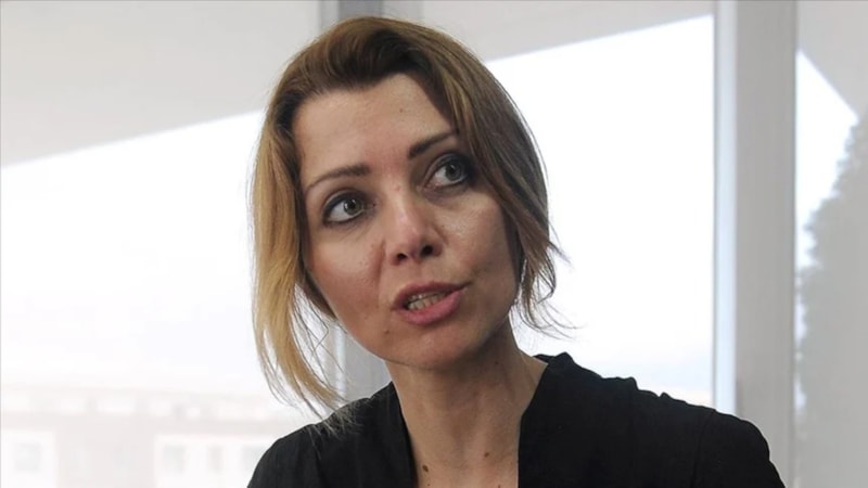 Elif Şafak'ın başka kitaplardan intihal ettiği iddia edilen eserleri ve örnekler