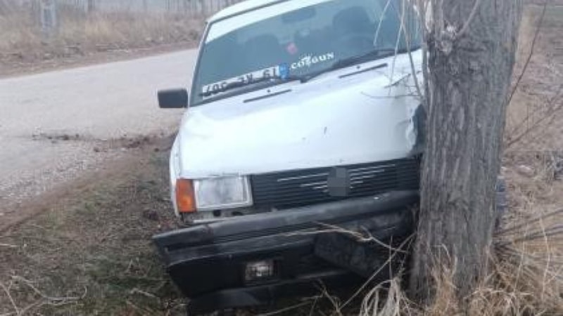 Çorum'da köpeğe çarpmamak için manevra yapan araç ağaca çarptı: 1 yaralı