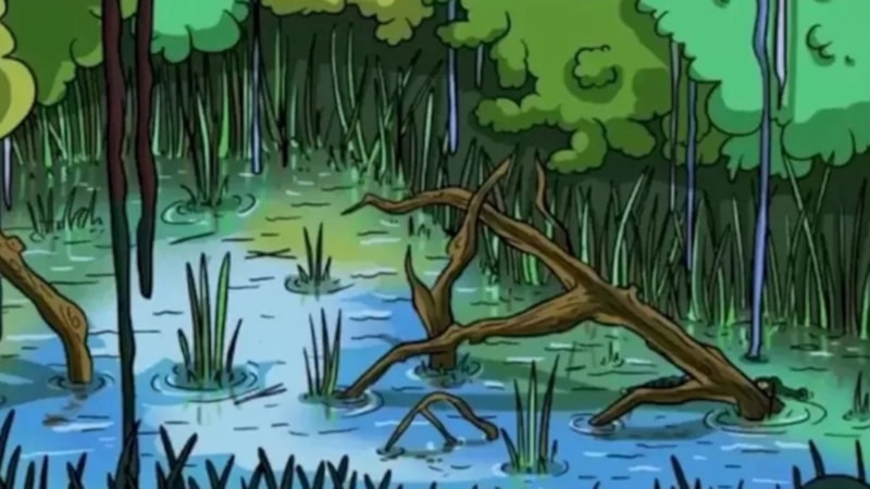 Zeka testi: Göl kenarındaki gizli timsahı 10 saniyede bulan, 160 IQ'lu sayılıyor...