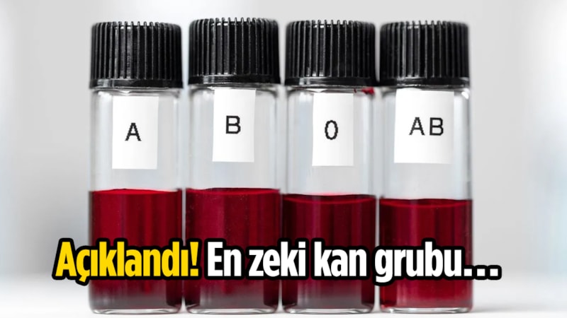 IQ’nuz kanınızda gizli! Bu kan grubunu taşıyan adeta dahi çıkıyor