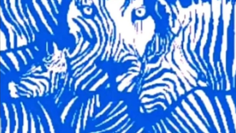 Kişiliğinizi belirleyen optik illüzyon testi! İlk bakışta hangi hayvanı görüyorsunuz?