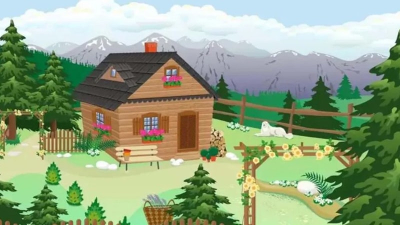 10 saniyede IQ testi: Çiftlikteki gizli ayıyı sadece yüksek IQ'ya sahip olanlar bulabiliyor...