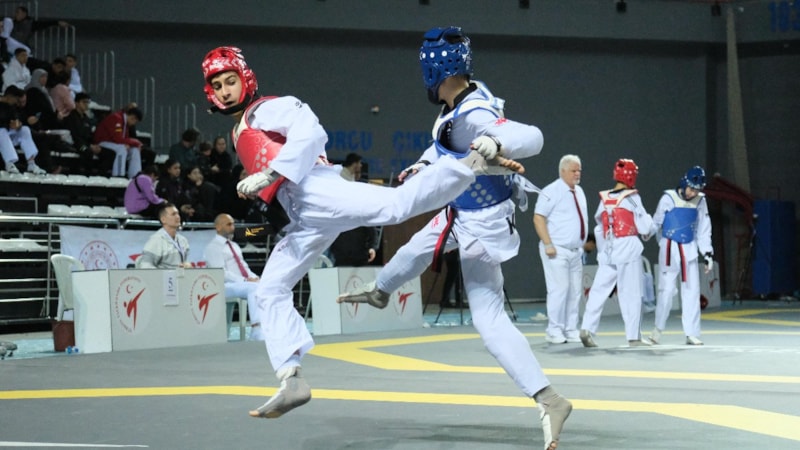 Türk sporcular tekvandoda 24 madalya kazandı