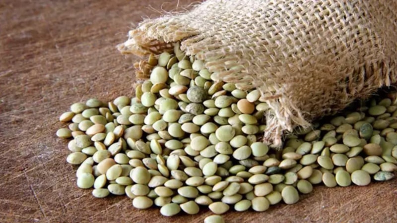 Ticaret Bakanlığı'ndan tüketiciyi koruyan yeni adım: Yeşil mercimekte gümrük vergisi sıfıra indirildi