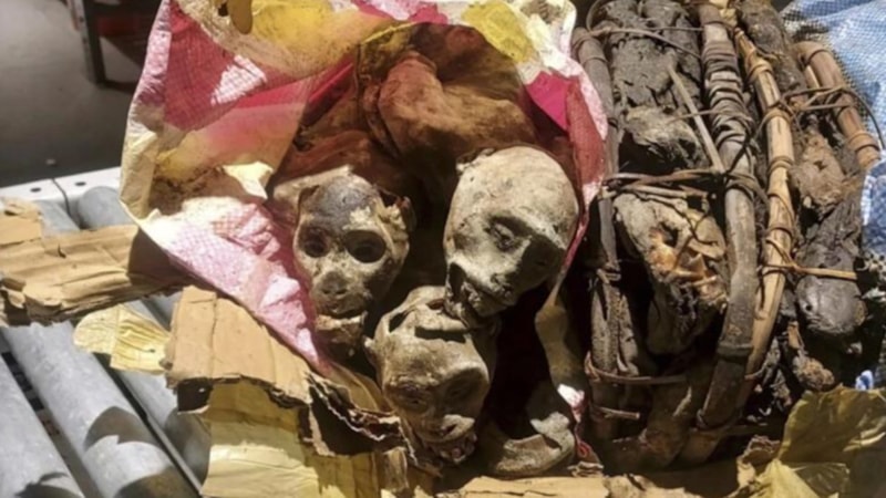 ABD'ye maymun mumyasıyla girmeye çalışan Afrikalı yolcu