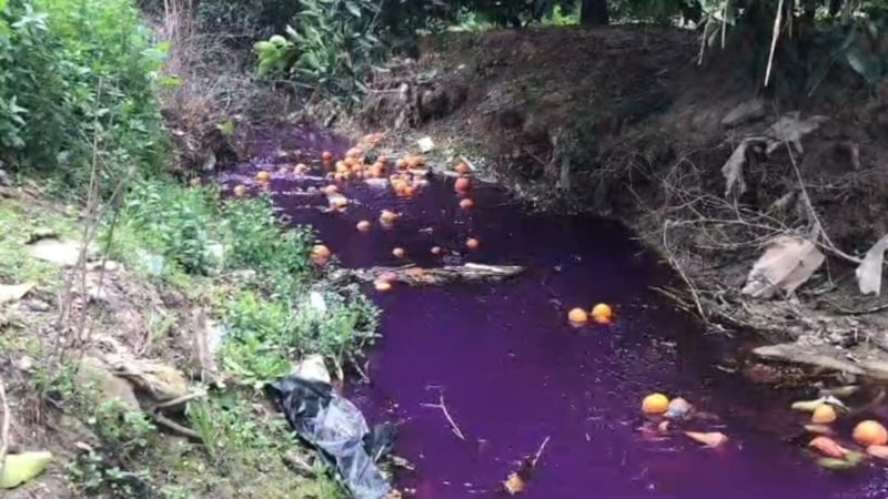 Rengi karardı! Adana'da dereyi kirleten fabrikaya para cezası