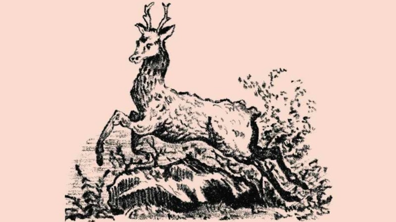 Bu illüzyondaki köpeği görebilirseniz, yapay zekadan daha zekisiniz...