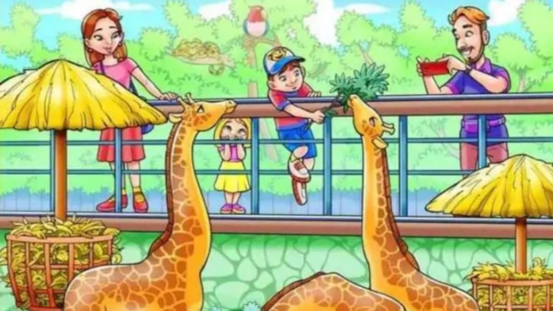 Görsel bulmaca: Resimdeki gizli maymunu 10 saniyede bulanın IQ'su uçuyor...