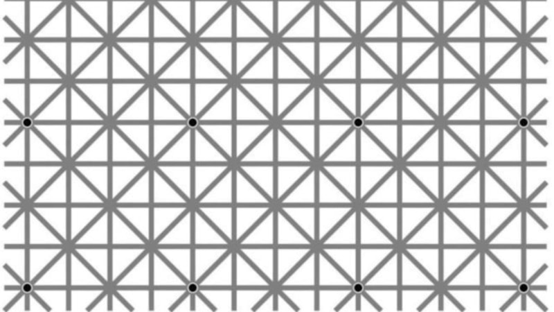 Beyin yakan optik illüzyon: Bu resimde kaç tane nokta var? Kimse göremiyor...