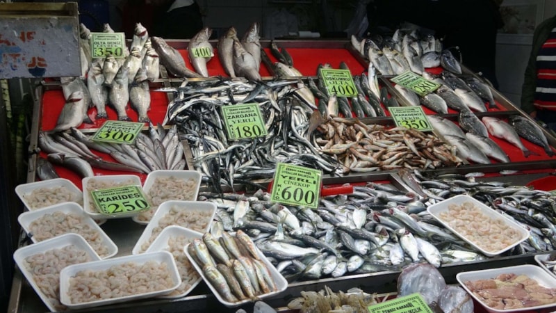 Çanakkale'de 'denizin prensi' lüferin kilosu 900 TL oldu