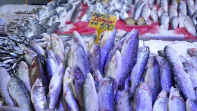 Samsun'da tezgahların gözdesi somon ve istavrit