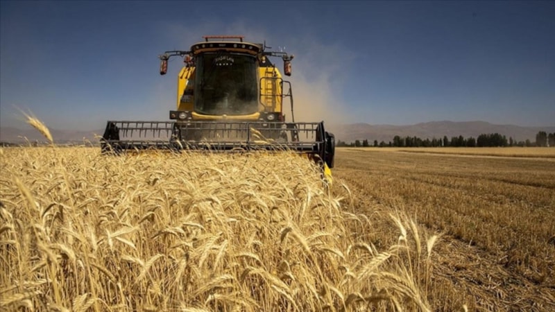 Tarımsal girdi fiyatları bir yılda yüzde 41,43 yükseldi