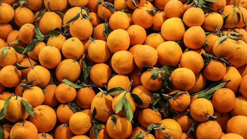Türkiye'nin narenciye ürünleri ihracatı arttı! Kazanç 1 milyar doları aştı