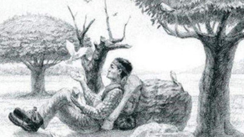 Beyin jimnastiği: Sadece yaratıcı zekalar 11 saniyede gizli atı bulabiliyor...