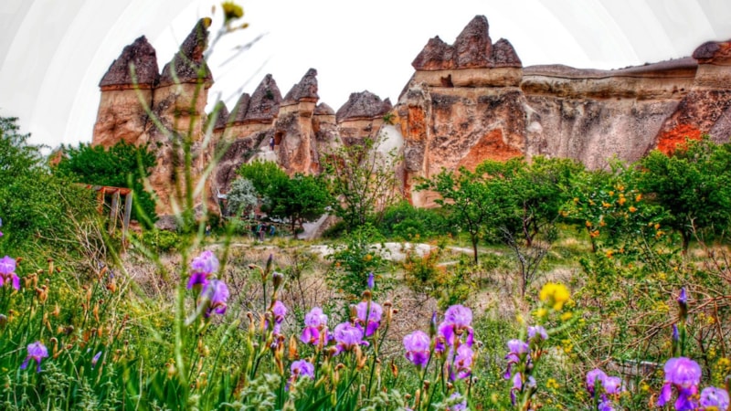 Bildiğiniz gibi değil: Kapadokya soğanının faydaları