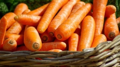 Havuç neye iyi gelir? Havucun faydaları nelerdir?