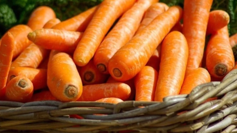 Havuç neye iyi gelir? Havucun faydaları nelerdir?