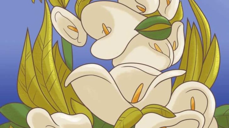 İllüzyondaki kadını Sherlock Holmes gelse göremez! Fark edene helal olsun...