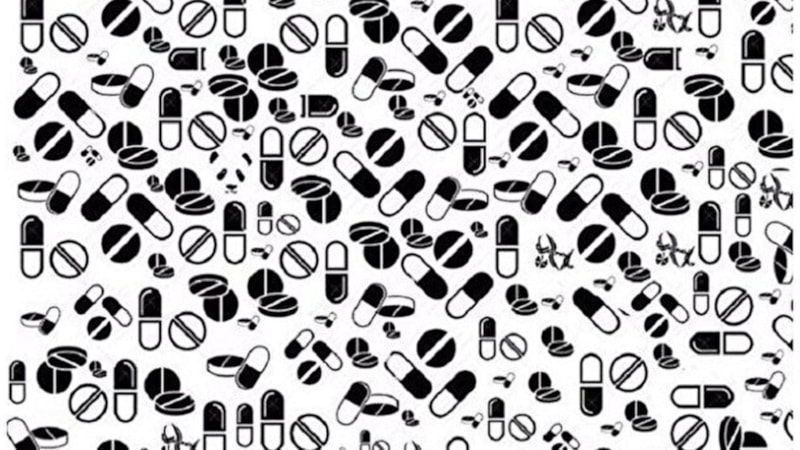 Görsel dikkat testi: Resimdeki pandayı farkedenler, yüksek IQ'lu çıkıyor...