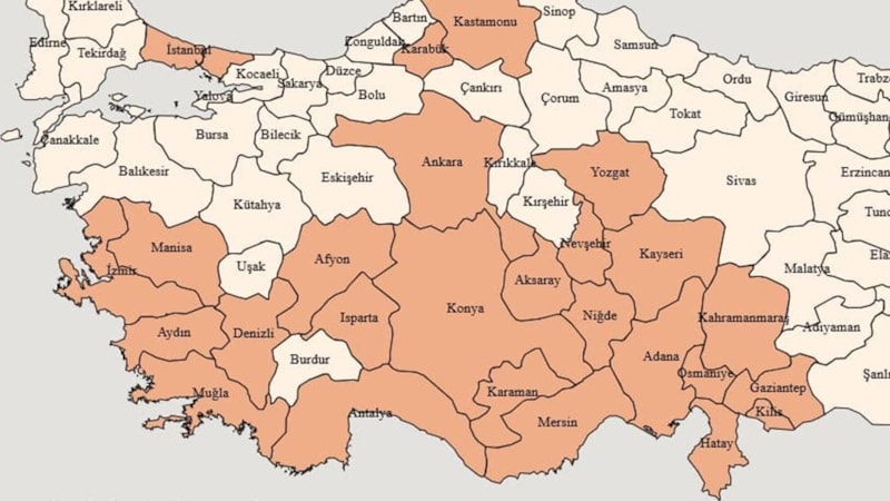 Sıcak havayı fırsat bildi, topraktan fırlıyor! Mersin, Adana, Hatay, Antalya... Uyuyan dev uyandı