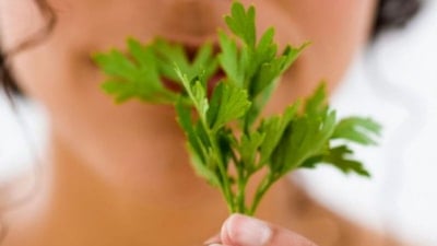 Günde 1 dakika maydanoz çiğneyin, bakın neler olacak...