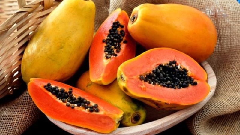 Papaya meyvesi nedir? Papaya meyvesinin faydaları nelerdir?