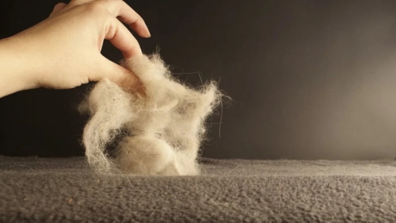 Bu yöntemle halıda kıl tüy kalmayacak! 40 yıl düşünseniz aklınıza gelmez...