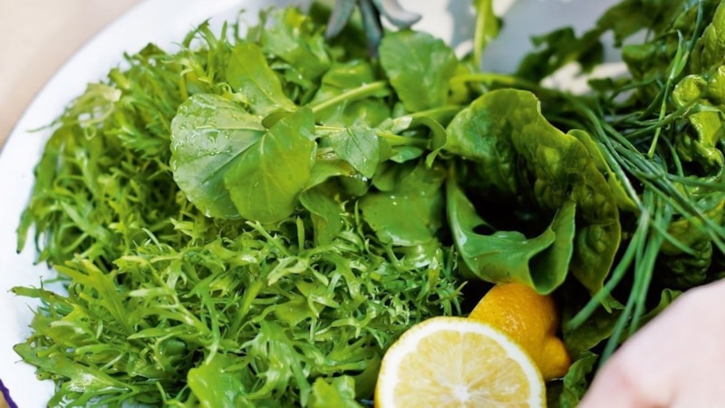 Her evde var; Yeşilliklerin üstüne koyun, haftalarca dayanacak...