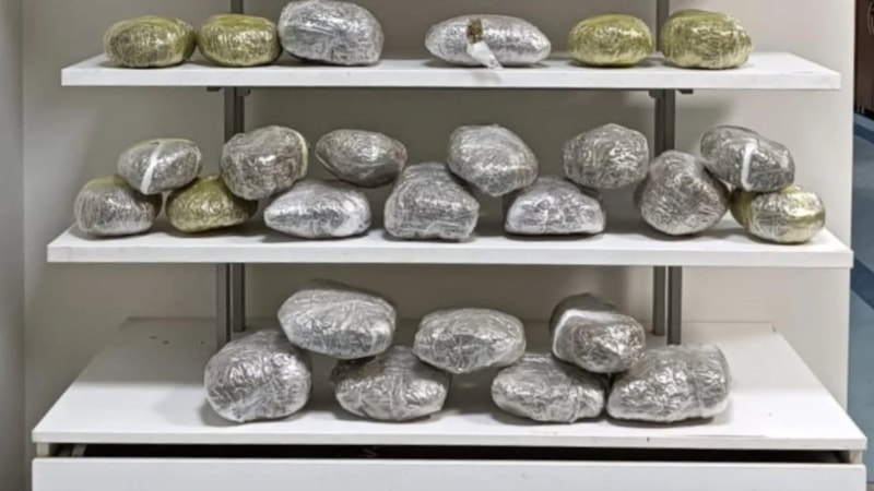 Adana'da valizinde 22 kilogram esrar bulunan yolcu tutuklandı