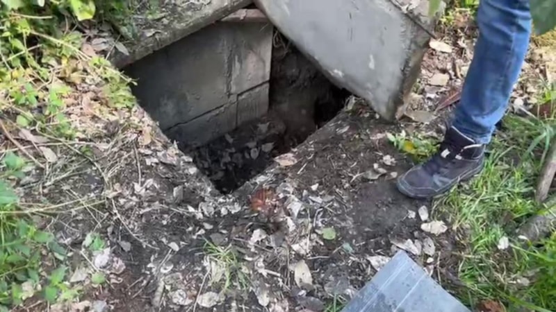 Hatay'da sığınakta kurduğu sistemle kenevir yetiştirdi