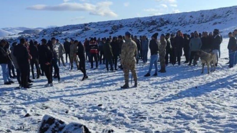 Niğde'de köpek dövüşüne baskın: 83 kişi yakalandı