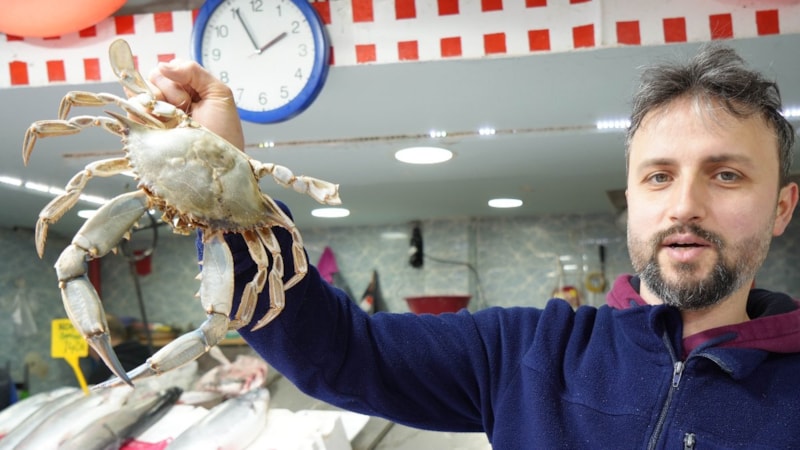 Popülasyonu arttı! Karadeniz'de 'mavi yengeç' tehlikesi