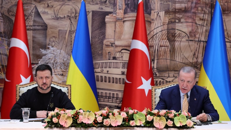 Cumhurbaşkanı Erdoğan'ın Rusya-Ukrayna barış zirvesi çağrısı Fransa'da meclise taşındı