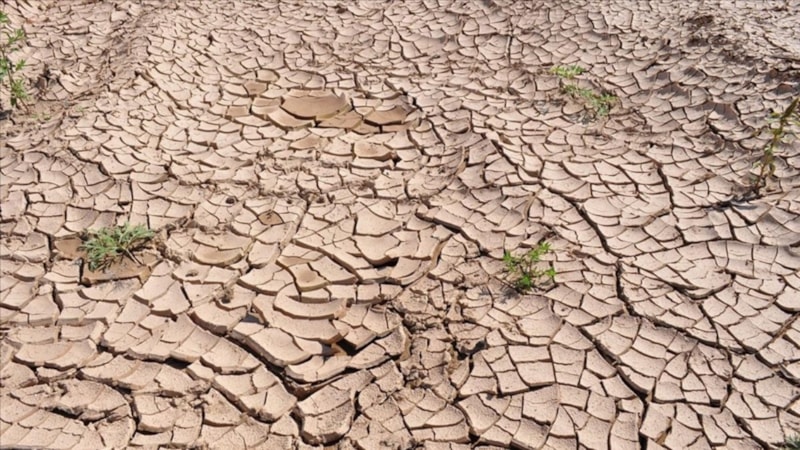 Uzmanlar uyardı: Sıcak alan kuzeye daha fazla yayıldı! Küresel ısınma Türkiye'nin iklimini Mısır'a benzetecek