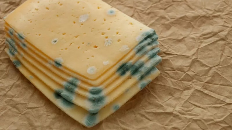 Peynir tabağını onunla silin, küfe son verin…