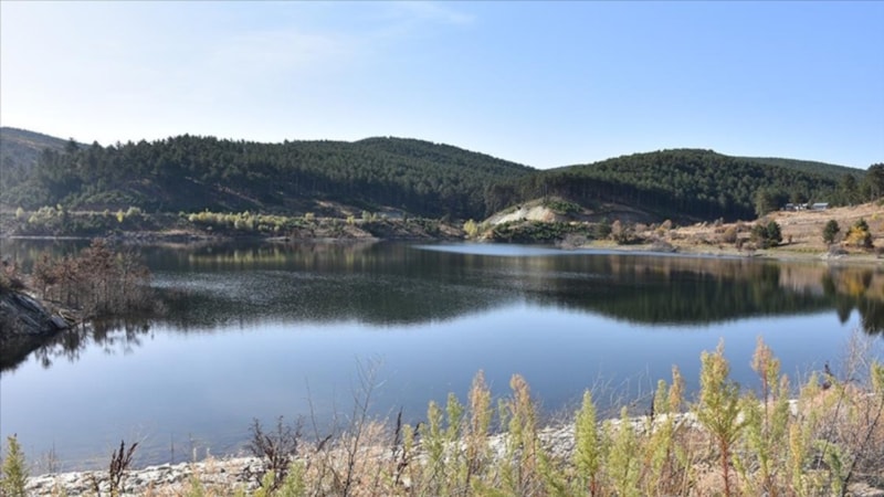 DSİ'nin 3 yıllık hedefi: 420 bin hektar tarım alanı suyla buluşacak